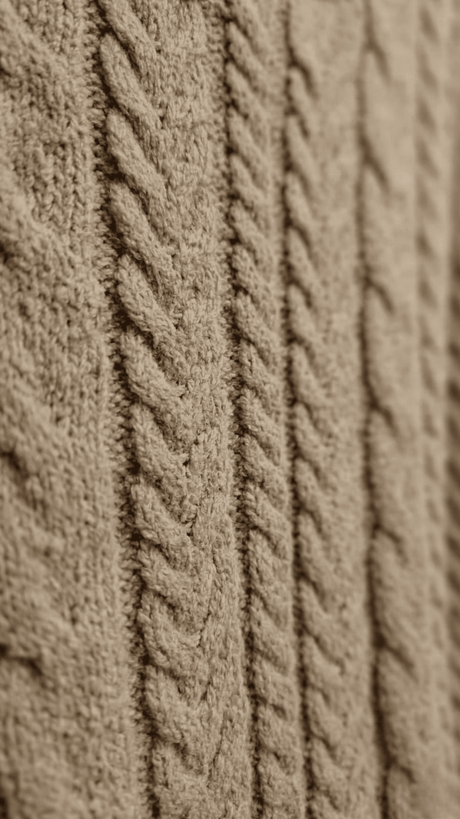 Playera de Punto Trenzado (Cable Knit) 2