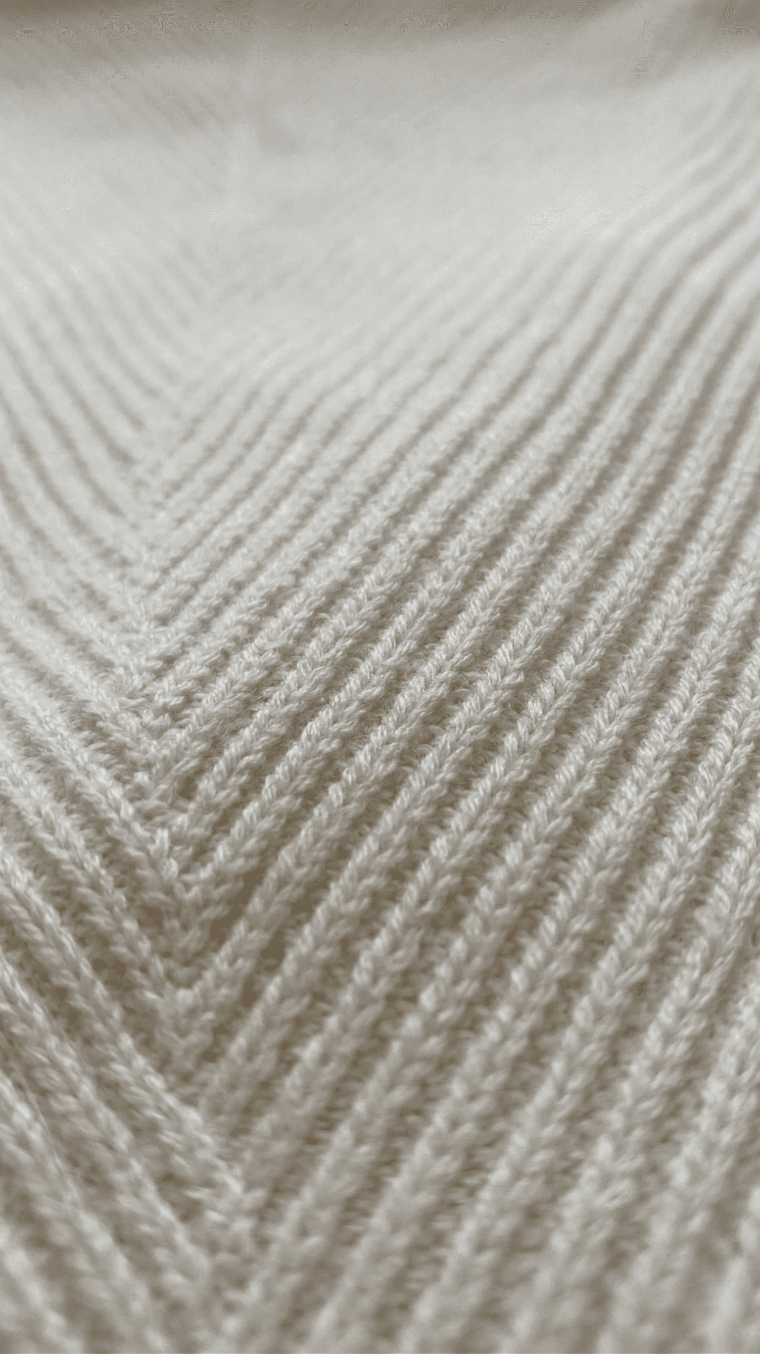 Blusa Manga Larga Cuello Cisne 2